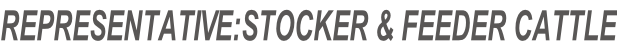 REPRESENTATIVE:STOCKER & FEEDER CATTLE